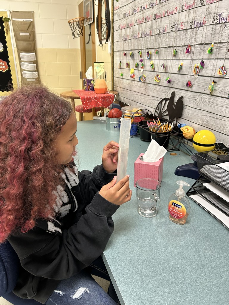 Students from Mrs. Lindley's Class work on their science fair projects.