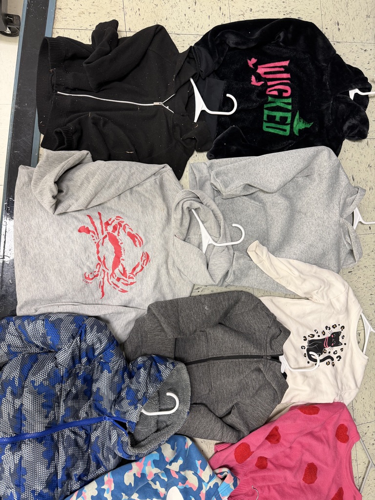 An overhead view of seven items of children’s clothing on hangers. Included are a black zip-up hoodie, a fuzzy "Wicked" sweatshirt, two grey hoodies (one with a red crab), a blue camo puffer jacket, a cream sweatshirt with a cat, and a grey zip-up.