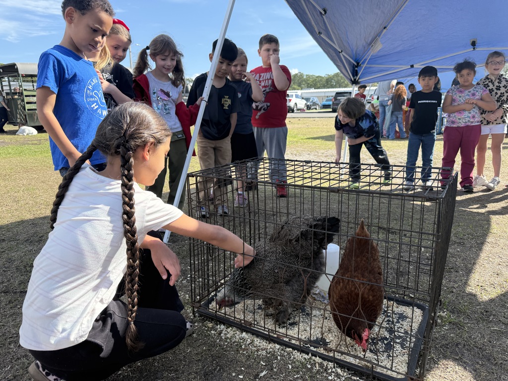 Our 1st grade Mustangs wrapped up their Animal & Habitats unit with a farm-tastic Rotation Day, and what an unforgettable experience it was! Students had the opportunity to see and learn about animals and discuss ling & non-living things up close and face to face.