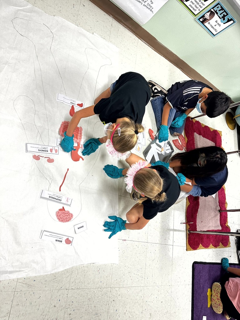 2nd grade students and staff end of unit learning activity on Human Body.