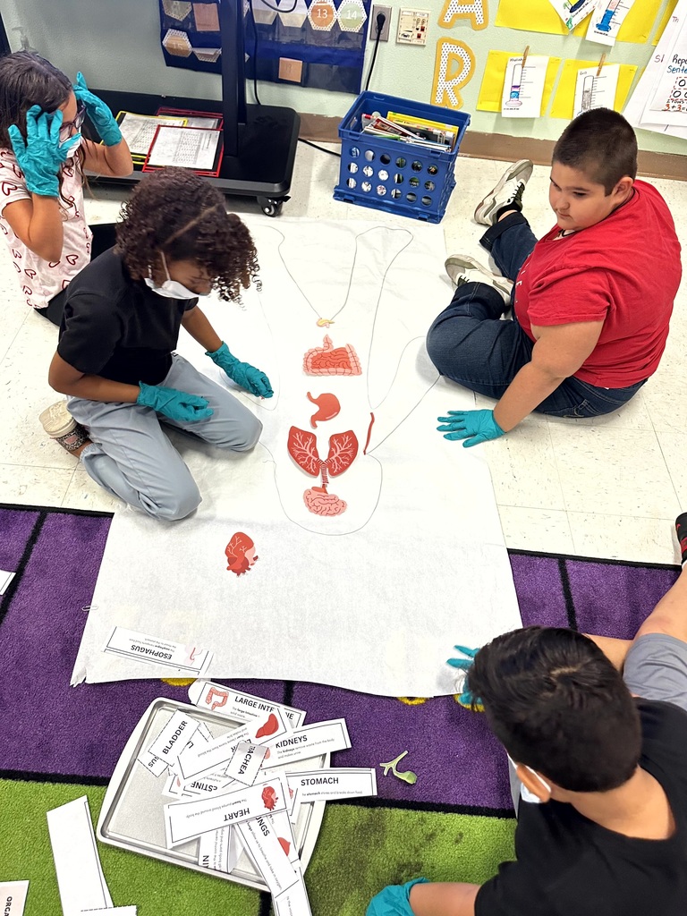 2nd grade students and staff end of unit learning activity on Human Body.