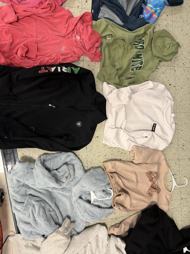 A black Ariat zip-up jacket, a white "So What" sweatshirt, a tan sweatshirt with a leopard-print bow, a light blue fuzzy hoodie, and several other colorful children's sweatshirts.
