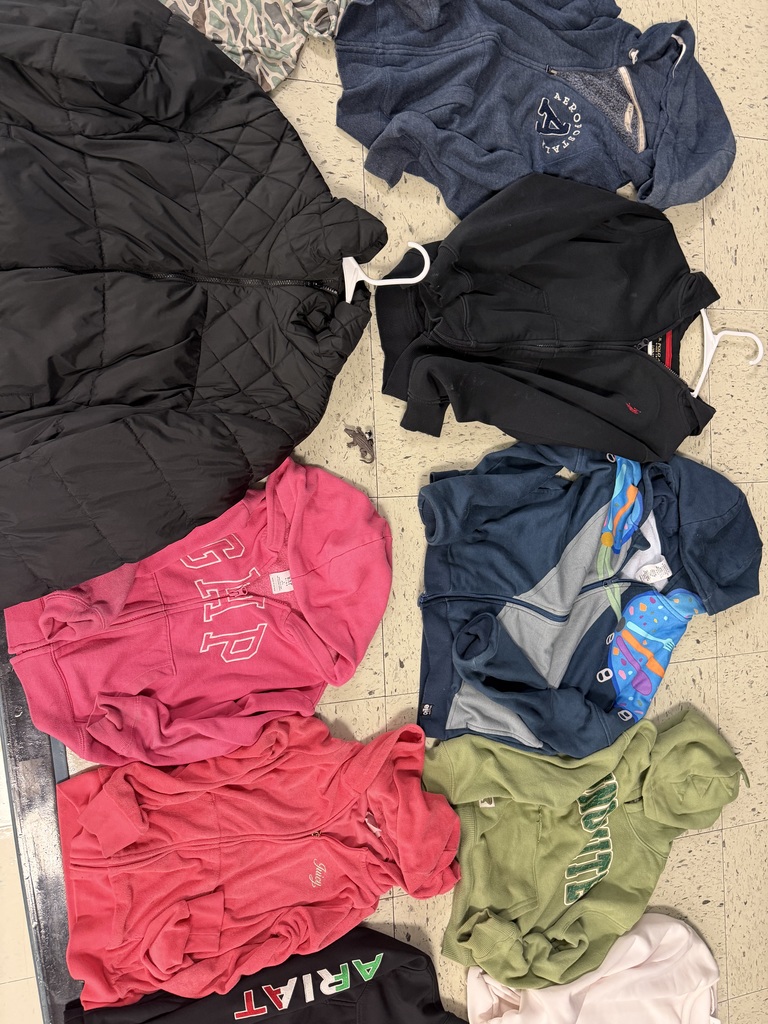 Various hoodies including a black quilted puffer, a pink GAP zip-up, a hot pink Juicy Couture zip-up, a green "Dino-Mite" hoodie, and a navy hoodie with colorful graphics.