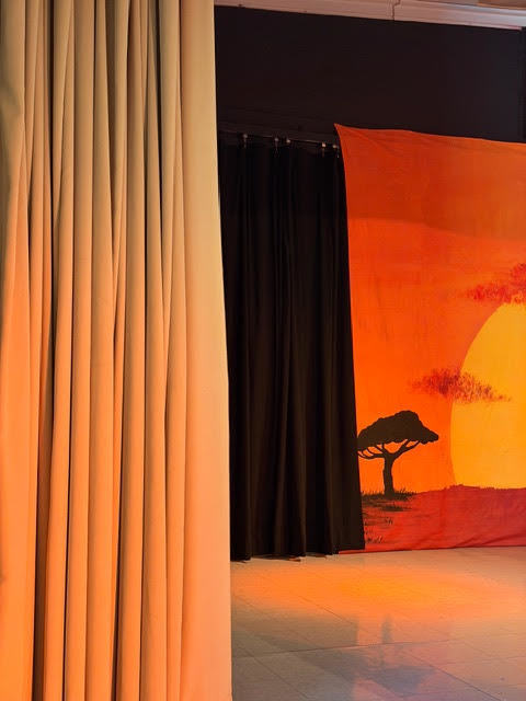 Picture of Lion King stage preview