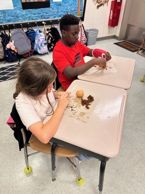 Mrs. Ashton’s 5th grade class has been hard at work reviewing key concepts that will be addressed on next month’s Florida 5th Grade Statewide Science Assessment (SSA)!  As part of their learning on living organisms, students took a deep dive into avocados—bringing science to life through a fun, hands-on project.