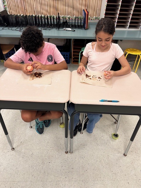Mrs. Ashton’s 5th grade class has been hard at work reviewing key concepts that will be addressed on next month’s Florida 5th Grade Statewide Science Assessment (SSA)!  As part of their learning on living organisms, students took a deep dive into avocados—bringing science to life through a fun, hands-on project.