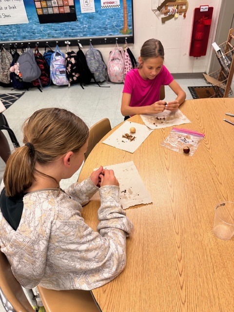 Mrs. Ashton’s 5th grade class has been hard at work reviewing key concepts that will be addressed on next month’s Florida 5th Grade Statewide Science Assessment (SSA)!  As part of their learning on living organisms, students took a deep dive into avocados—bringing science to life through a fun, hands-on project.