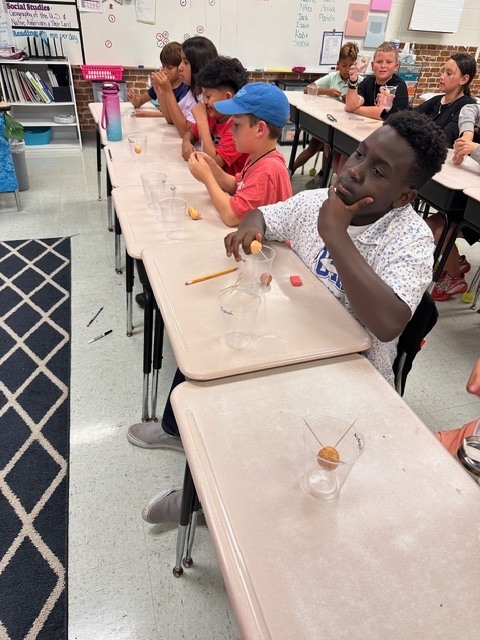 Mrs. Ashton’s 5th grade class has been hard at work reviewing key concepts that will be addressed on next month’s Florida 5th Grade Statewide Science Assessment (SSA)!  As part of their learning on living organisms, students took a deep dive into avocados—bringing science to life through a fun, hands-on project.