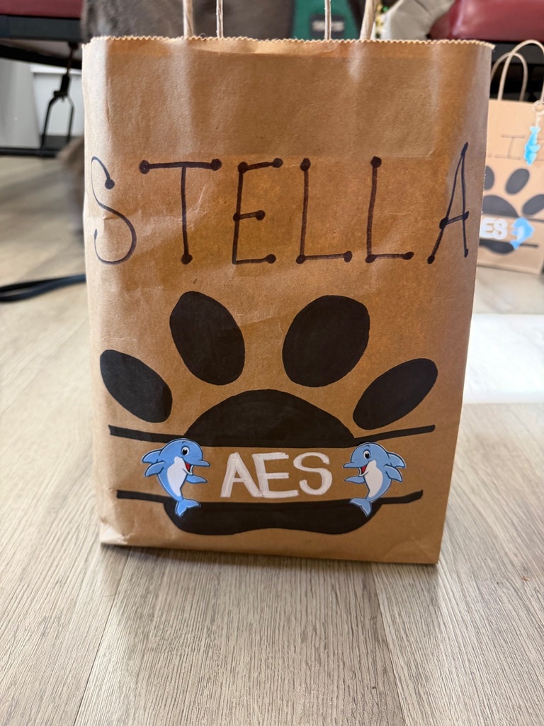 Our Therapy dogs and handlers getting showered with gifts for National Therapy Dog day. Dog or person in picture. 