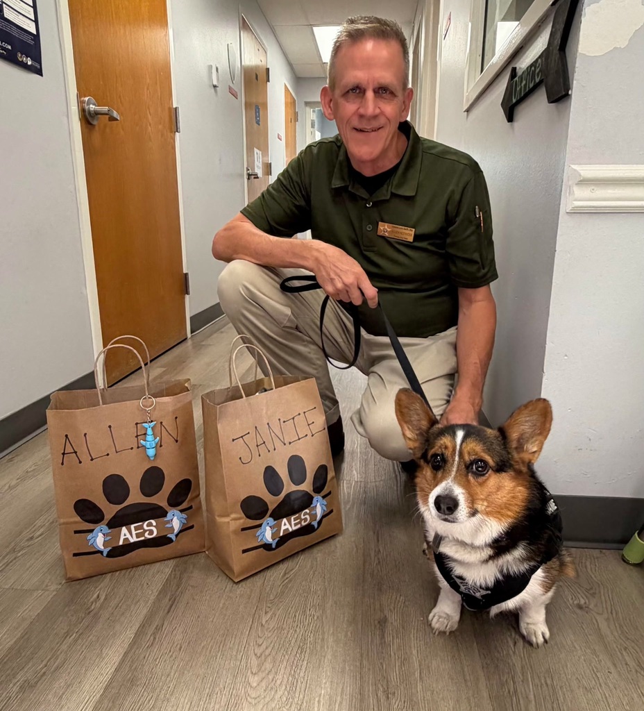 Our Therapy dogs and handlers getting showered with gifts for National Therapy Dog day. Dog or person in picture. 