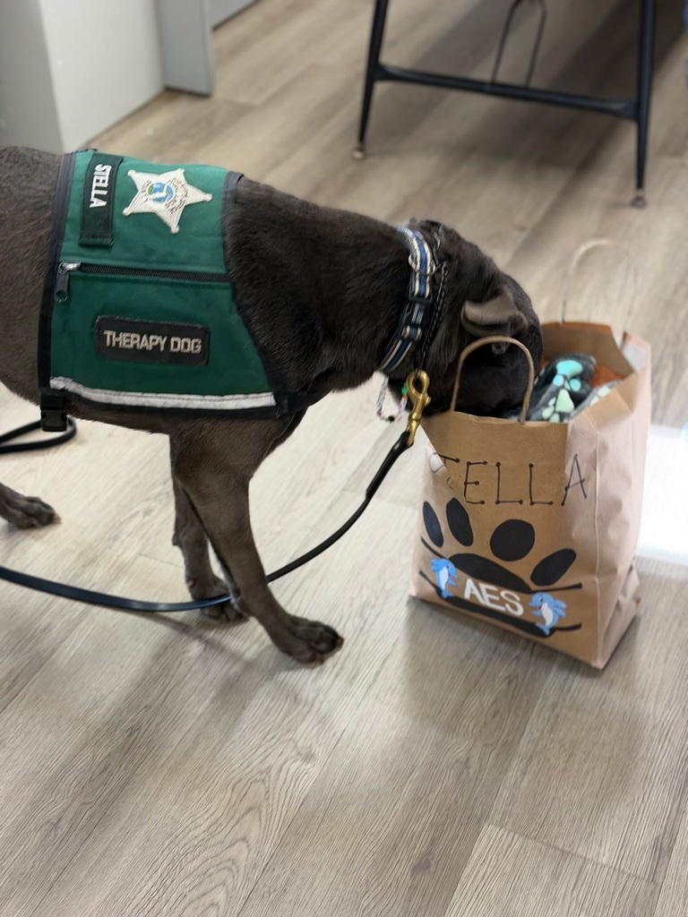 Our Therapy dogs and handlers getting showered with gifts for National Therapy Dog day. Dog or person in picture. 
