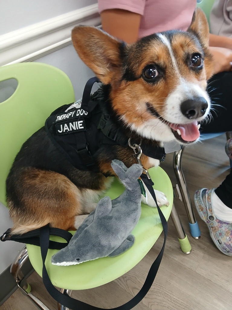 Our Therapy dogs and handlers getting showered with gifts for National Therapy Dog day. Dog or person in picture. 