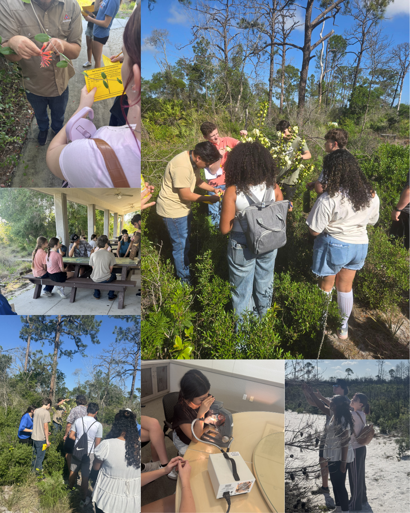 Students at Archbold Biological Station