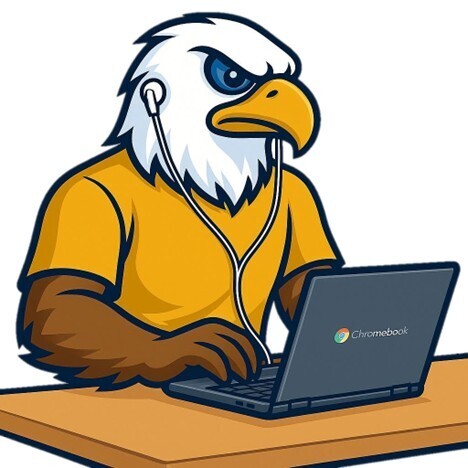 Eagle student using a Chromebook.