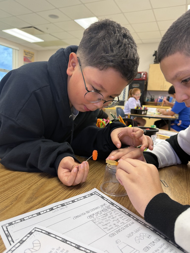 fifth graders learning