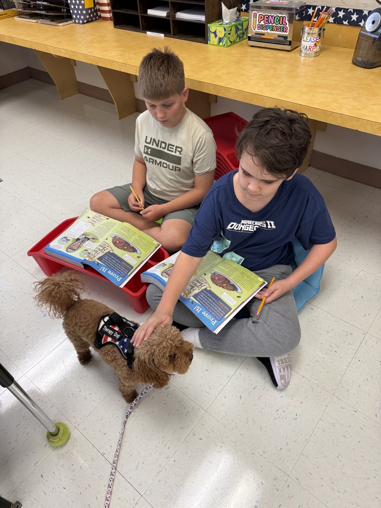 therapy dog