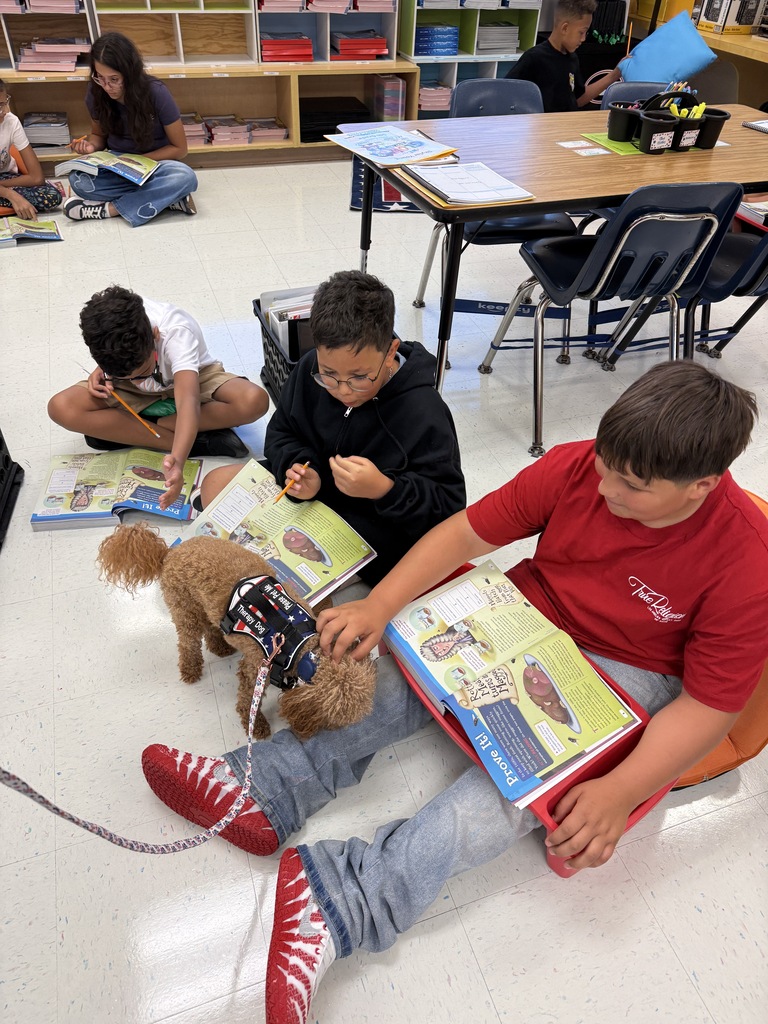 therapy dog