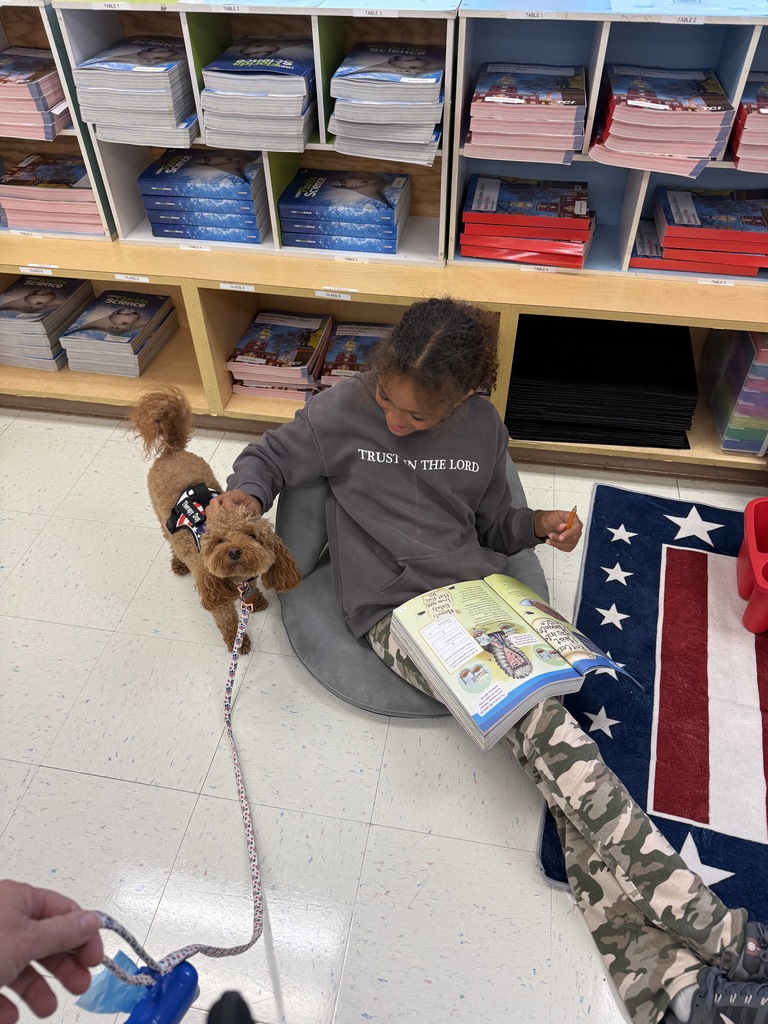 therapy dog