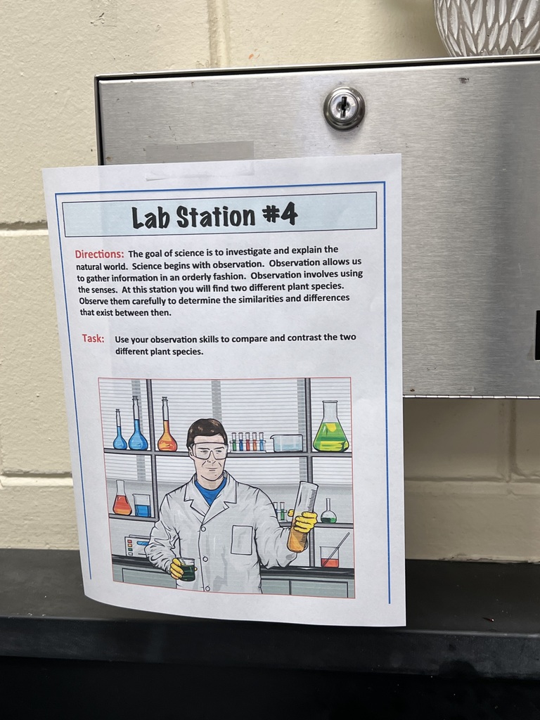 Biology Lab rotation activity