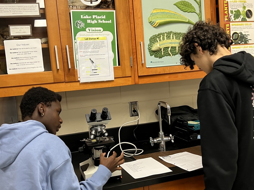 Student working in Biology Class.