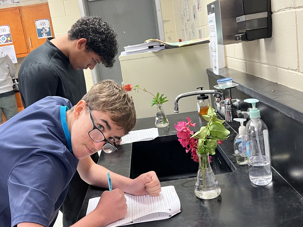 Student working in Biology Class.
