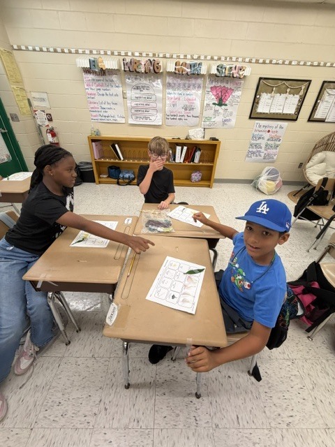 In Mrs. Wolfhope’s classroom, students are reviewing plant structures—including roots, stems, leaves, flowers, seeds, and fruit—and learning about the important roles each part plays in helping plants grow, survive, and reproduce.
