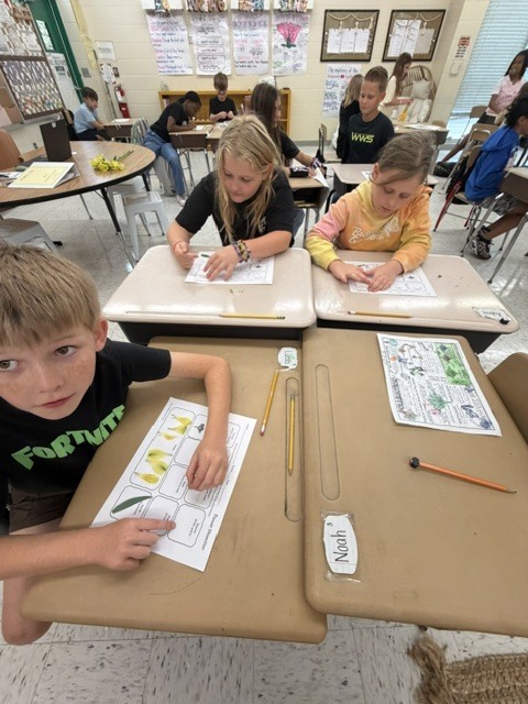 In Mrs. Wolfhope’s classroom, students are reviewing plant structures—including roots, stems, leaves, flowers, seeds, and fruit—and learning about the important roles each part plays in helping plants grow, survive, and reproduce.