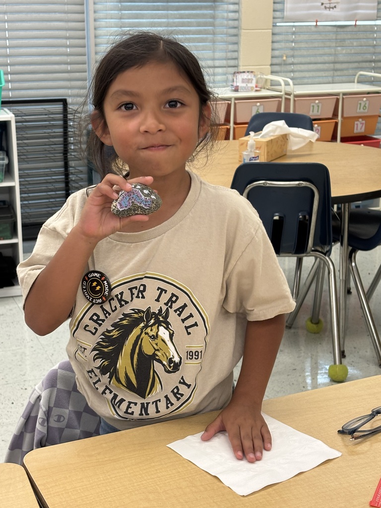 Mrs. Arneson’s second grade Mustangs have officially wrapped up their unit on Earth’s Surface! 🌎🔬
