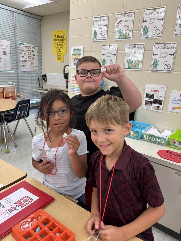 Mrs. Arneson’s second grade Mustangs have officially wrapped up their unit on Earth’s Surface! 🌎🔬