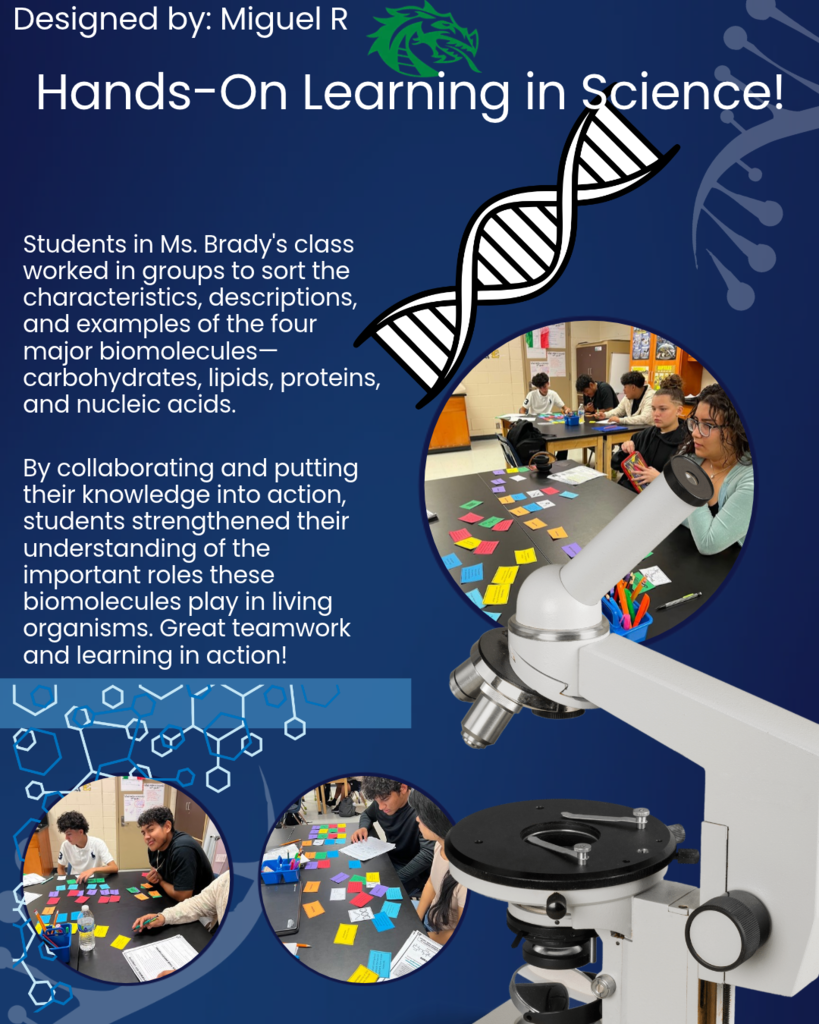 Navy blue science graphic titled “Hands-On Learning in Science!” features three classroom photos of students in Ms. Brady’s class working collaboratively to sort colorful cards identifying the characteristics, descriptions, and examples of four major biomolecules: carbohydrates, lipids, proteins, and nucleic acids. The design includes a green dragon logo, DNA illustrations, molecular structures, and a large microscope. Text highlights teamwork, hands-on learning, and students’ growing understanding of biomolecules. Designed by Miguel R.