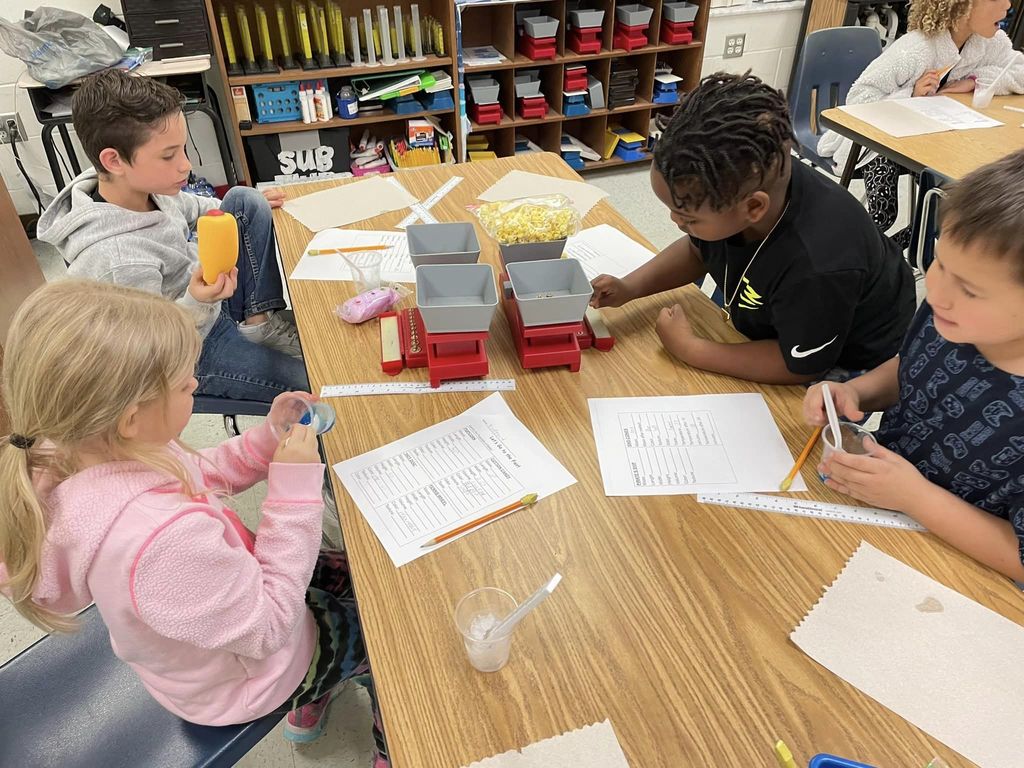 STEM activity