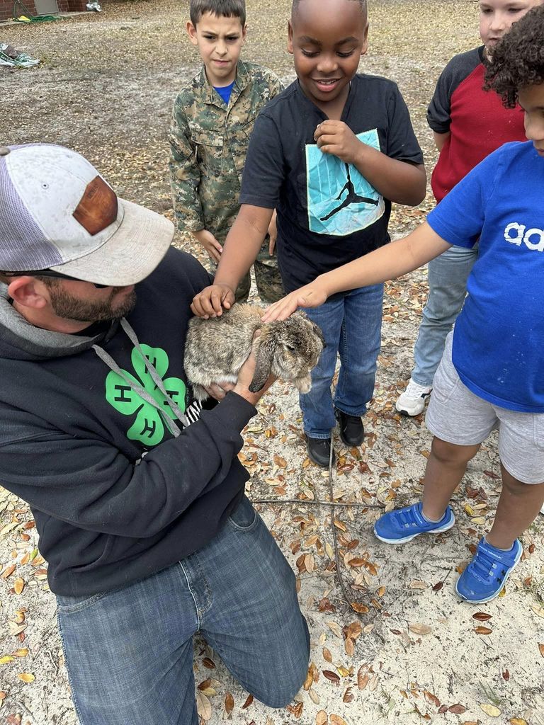 Students interacting with a rabbit