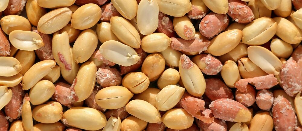 peanuts