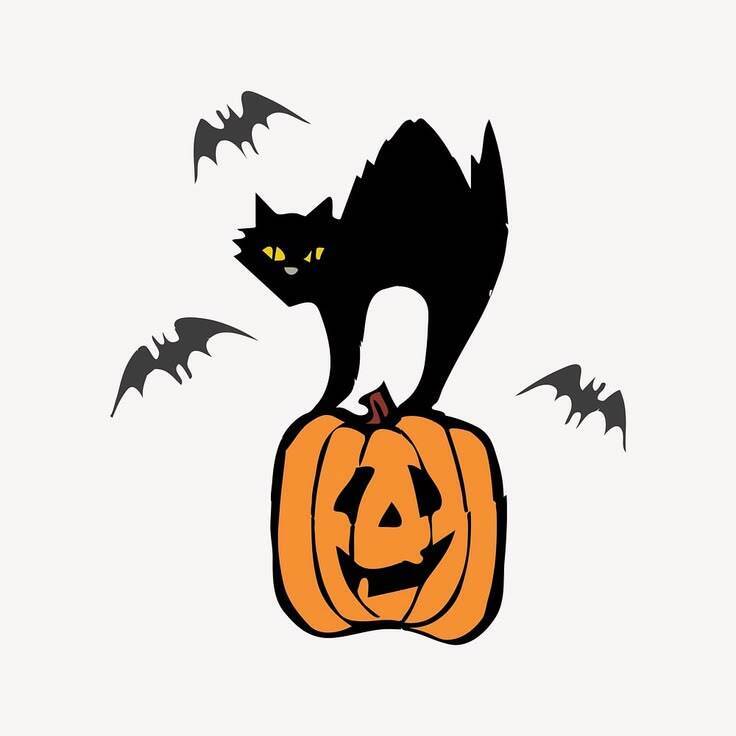 Black cat on pumpkin with bats graphic