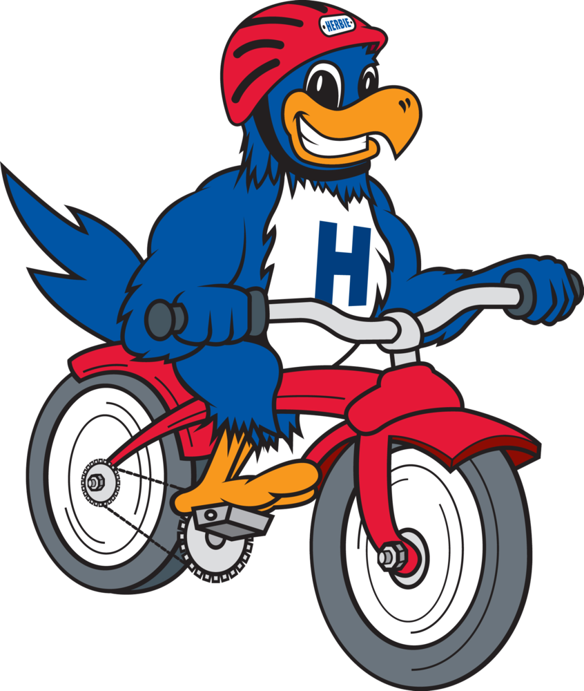 Herbie on a bike