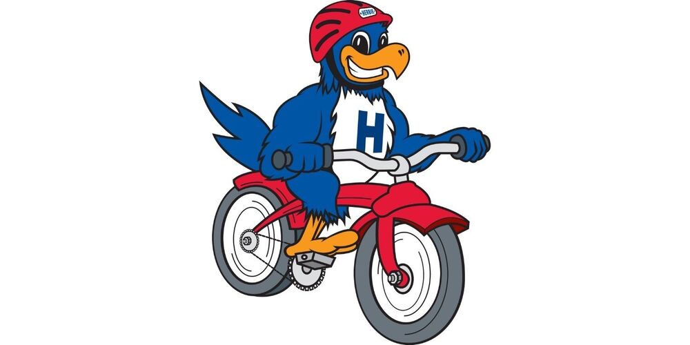 Herbie on a bike