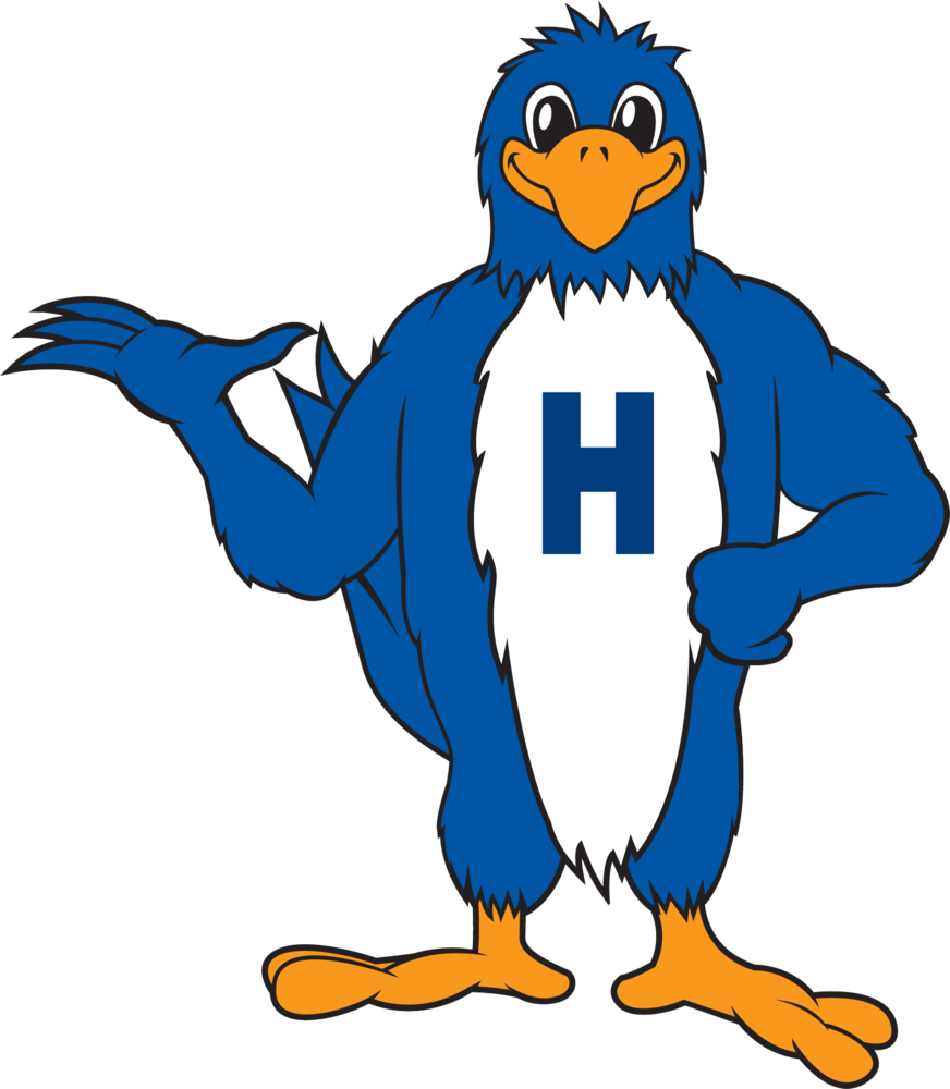 Herbie hawk