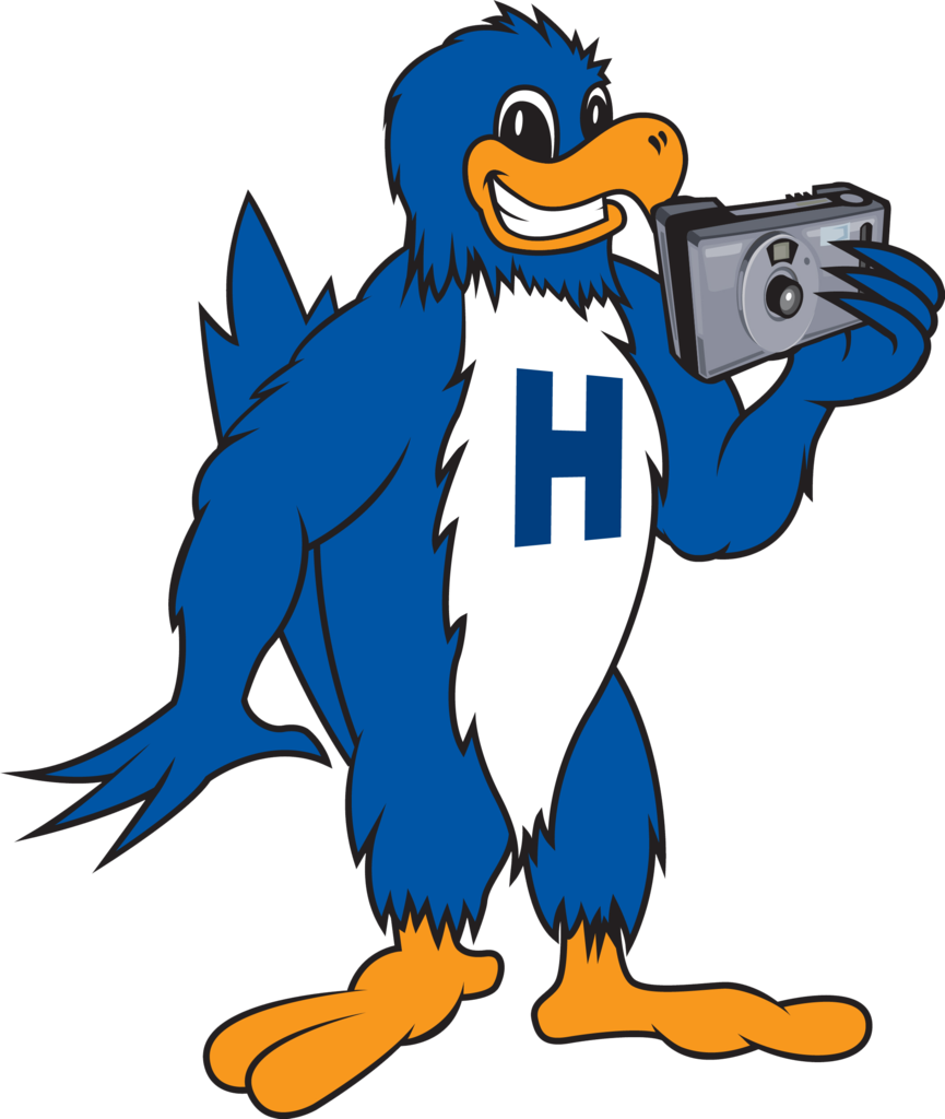 herbie with camera