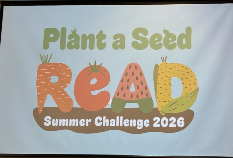 image of summer reading program theme 