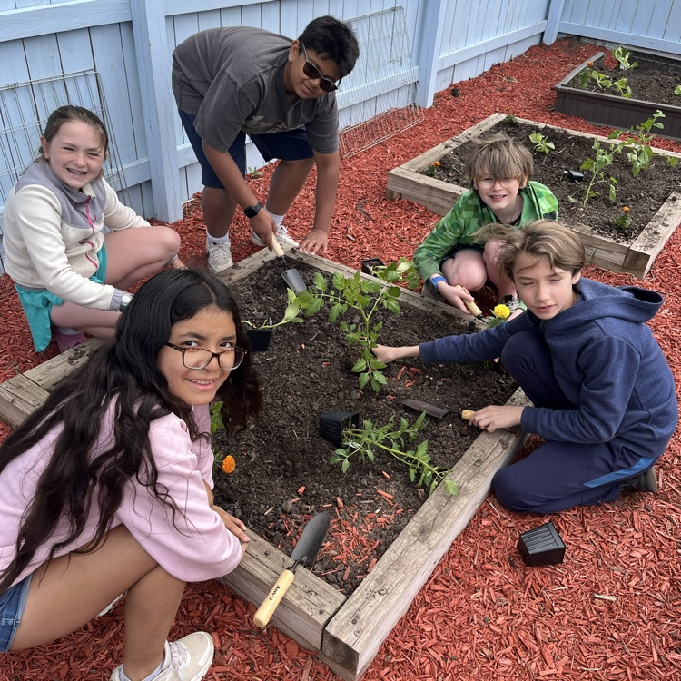 5 students planting