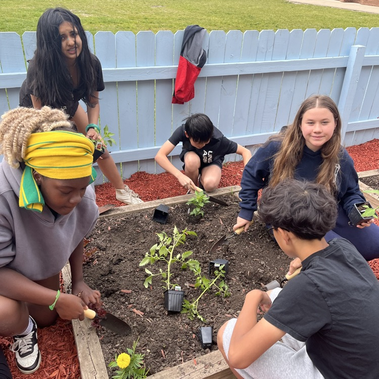 group planting