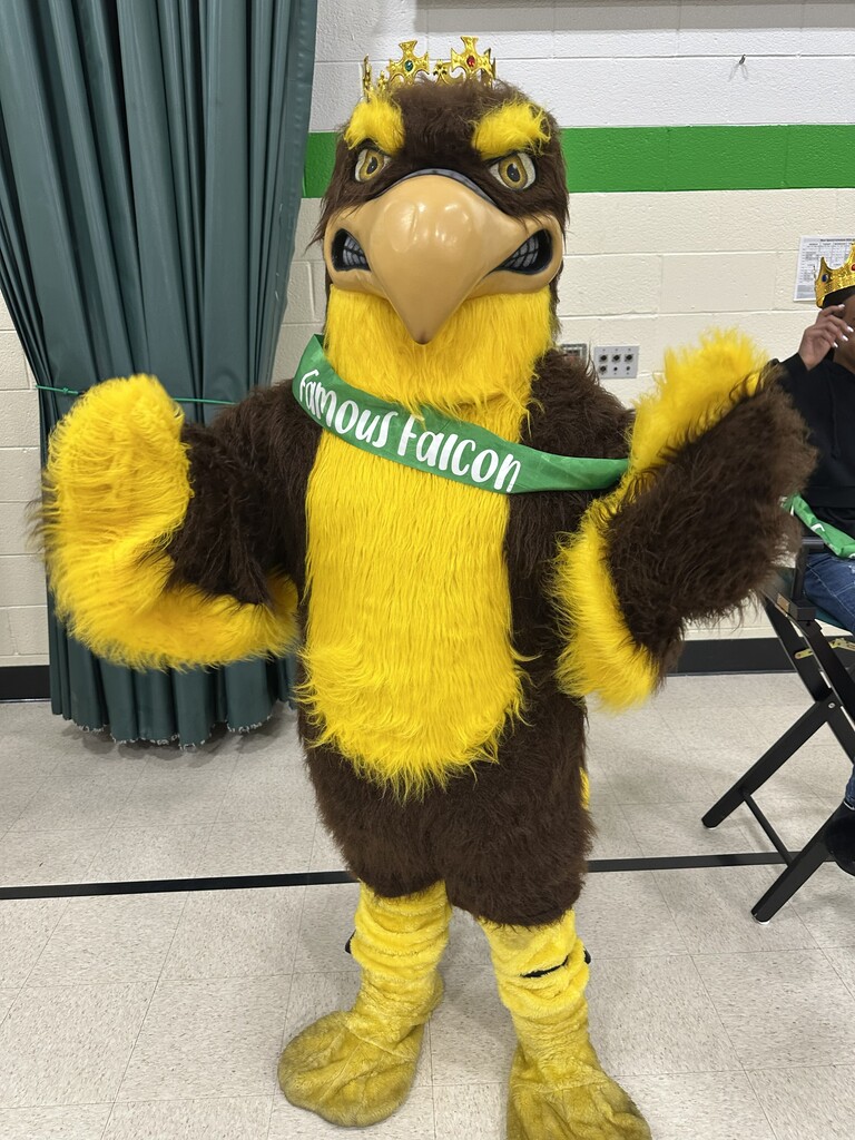 Person in a falcon suit wearing a sach and crown. 