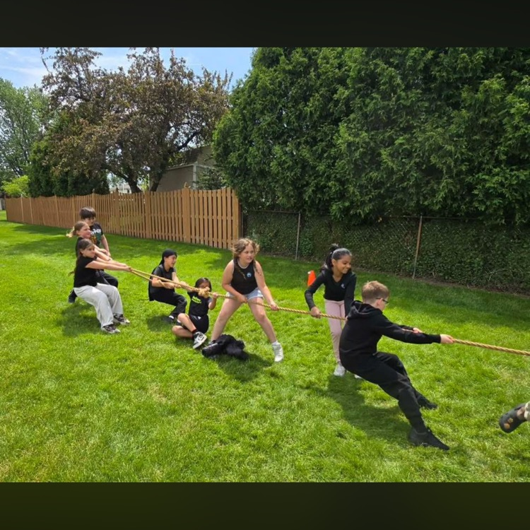 field day