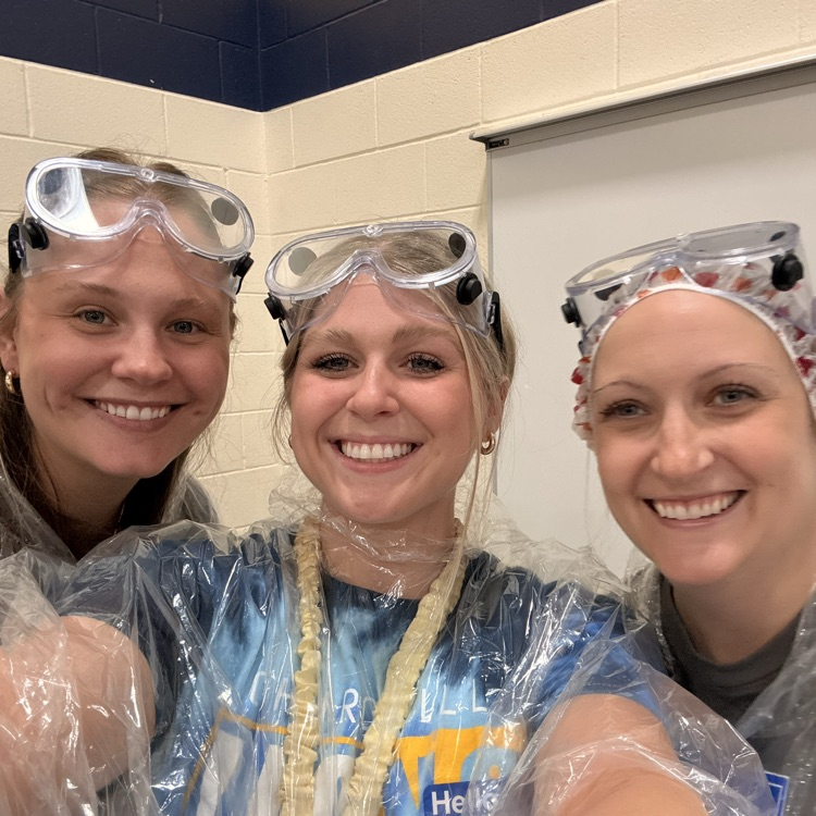 pie in the face 