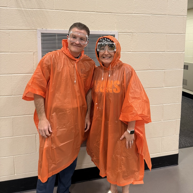 pie in the face 