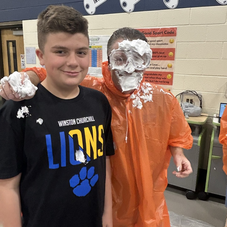 pie in the face 