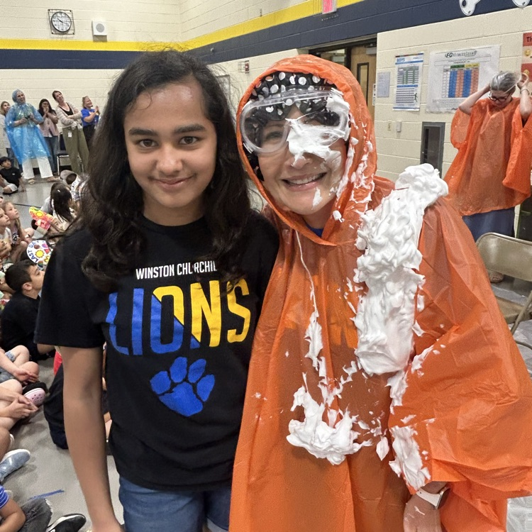 pie in the face 