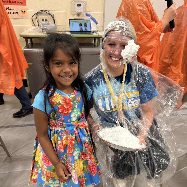 pie in the face 