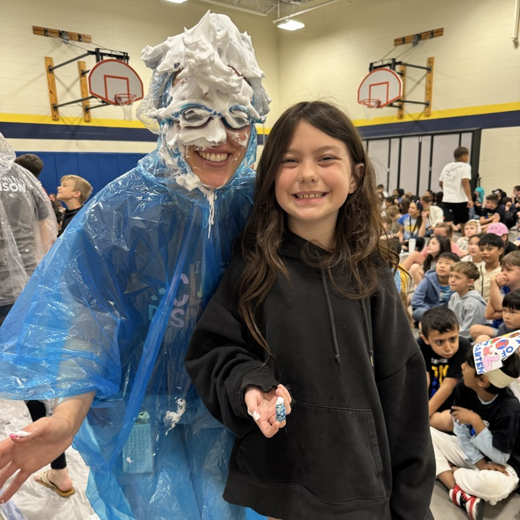 pie in the face 