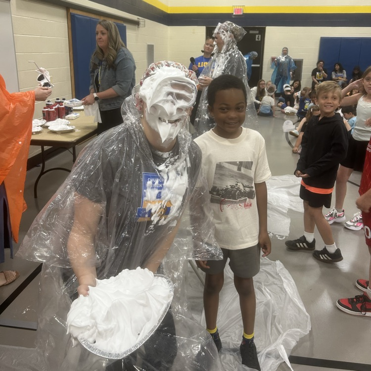 pie in the face 